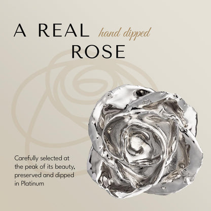 Real Platinum Rose, Genuine, One of a Kind, Hand Dipped & Everlasting Platinum Dipped Real Rose, Beautiful Forever Flower, Ideal Anniversary, and Romantic Valentine'S Day Gifts for Women